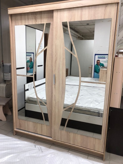 Шкаф-купе Альянс №2