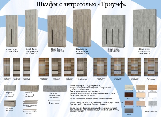 Шкаф "Триумф" 2х дв базовый 