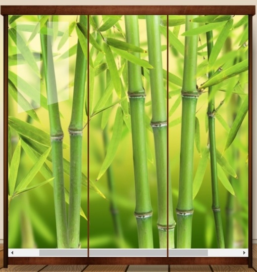 Шкаф-купе 1,8м фотопечать