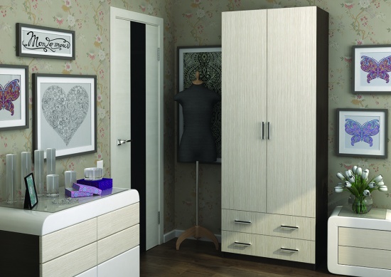 Шкаф Дуэт 2-х створчатый