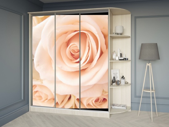 Шкаф-купе 1,8м фотопечать