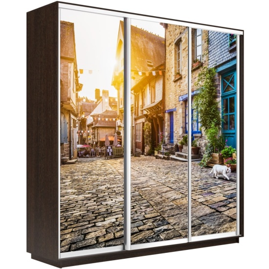 Шкаф-купе Экспресс с Фотопечатью 1800 х 2400 х 600 Улица