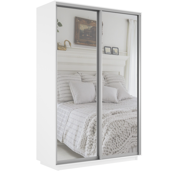 Шкаф-купе Экспресс 2 Зерк. 1600 х 2200 х 600