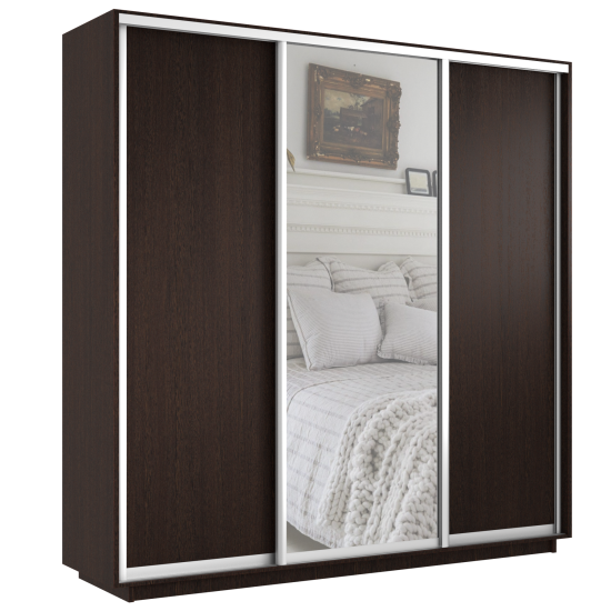 Шкаф-купе Экспресс ДСП/Зерк./ДСП 2400 х 2400 х 600