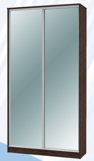 Шкаф-купе «Техно» 2х дв 1200х600 ЗЗ