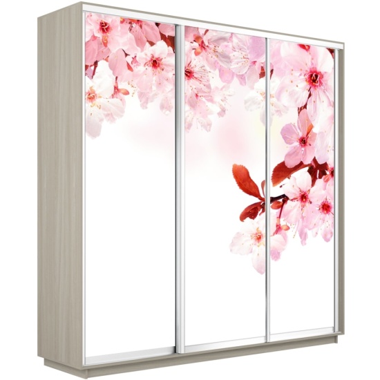 Шкаф-купе Экспресс с Фотопечатью 1800 х 2200 х 600 Сакура