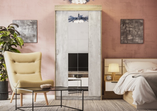 Шкаф-купе Бассо 1,0м с 2-мя зеркалами