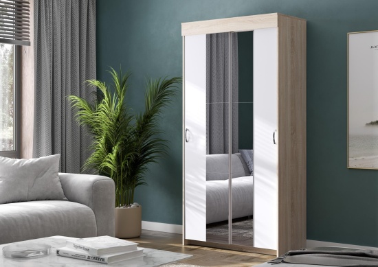 Шкаф-купе Бассо 1,0м с 2-мя зеркалами