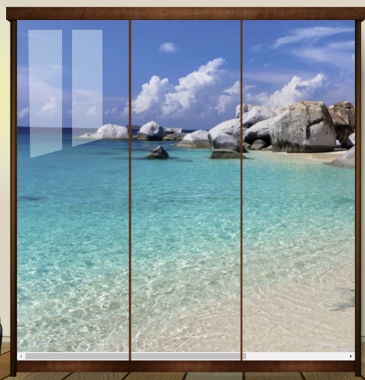 Шкаф-купе 1,8м фотопечать