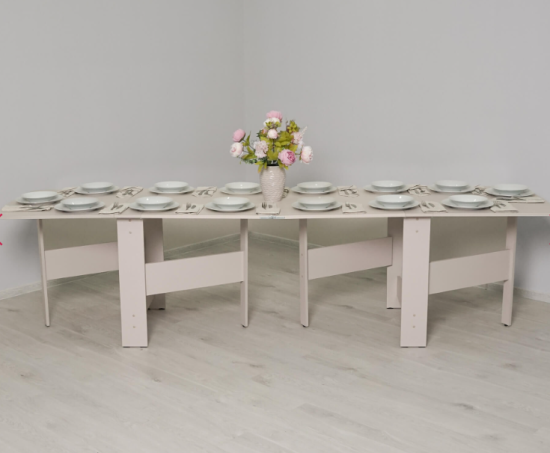 Стол-книжка Колибри 13