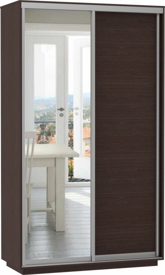 Шкаф-купе Экспресс ДСП/Зерк. 1600 х 2200 х 600