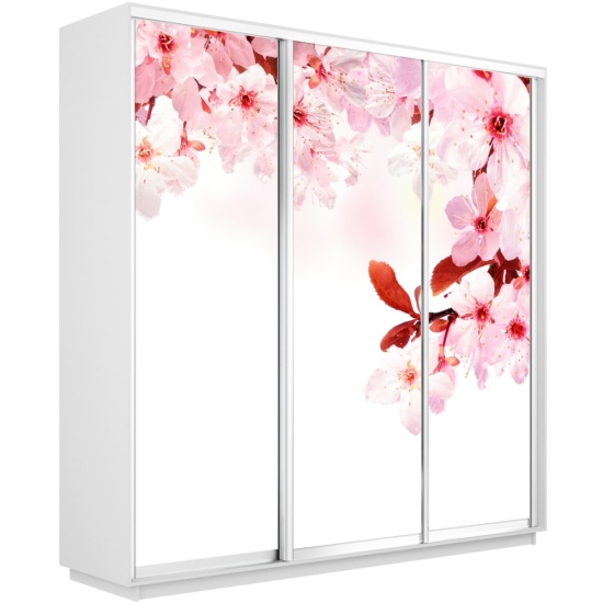 Шкаф-купе Экспресс с Фотопечатью 1800 х 2200 х 600 Сакура