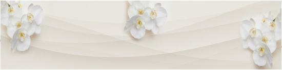 Фартук KMG 47 - Волны Абстракция Цветы