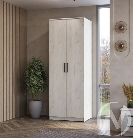 Шкаф 2-х створчатый Фиеста БТС