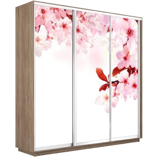 Шкаф-купе Экспресс с Фотопечатью 1800 х 2200 х 600 Сакура
