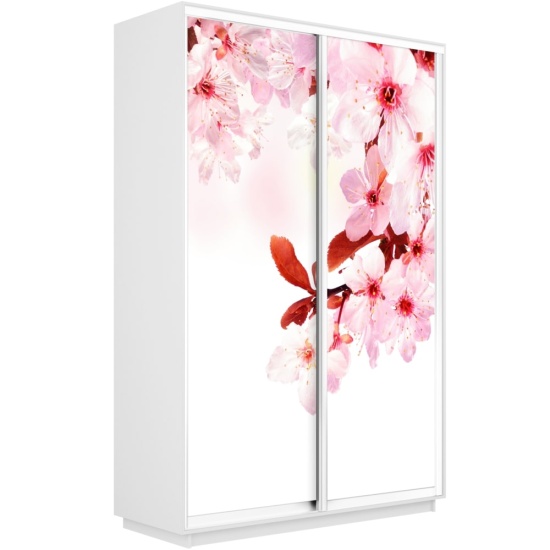 Шкаф-купе Экспресс с Фотопечатью 1400 х 2200 х 600 Сакура