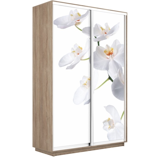 Шкаф-купе Экспресс 1200 х 2400 х 600 Орхидея Белая