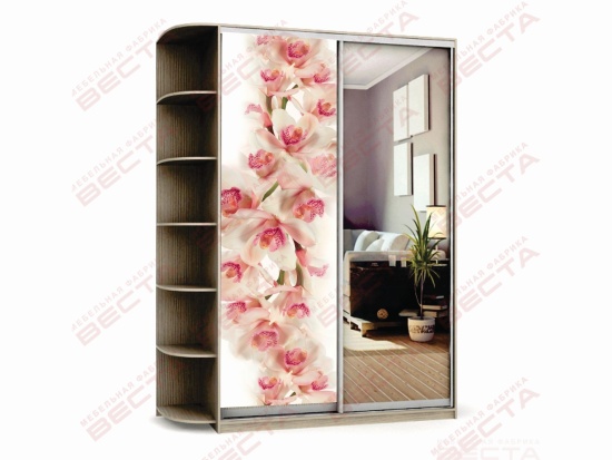 Шкаф-купе 1,1м фотопечать/зеркало+терминал