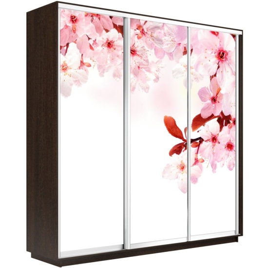 Шкаф-купе Экспресс с Фотопечатью 1800 х 2200 х 600 Сакура