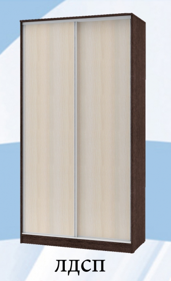 Шкаф-купе «Техно» 2х дв 1200х600 ДД