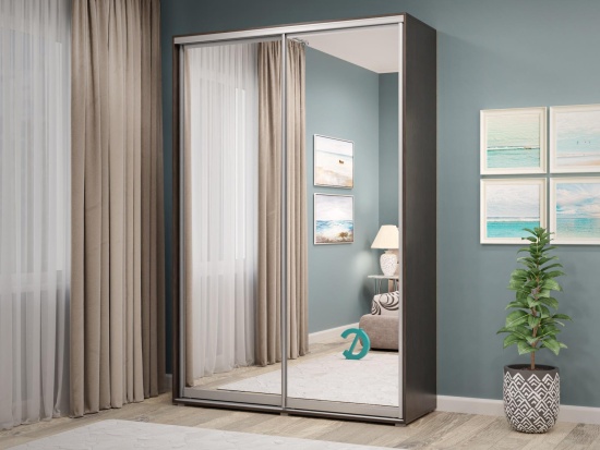 Шкаф-купе 2-х дверный с 2 зеркалами 1600 х 2200
