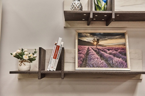 Гостиная Прага №3