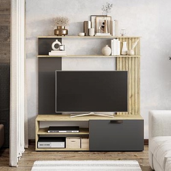 Центральная секция ГС-05 тип 1 Гостиная Мишель