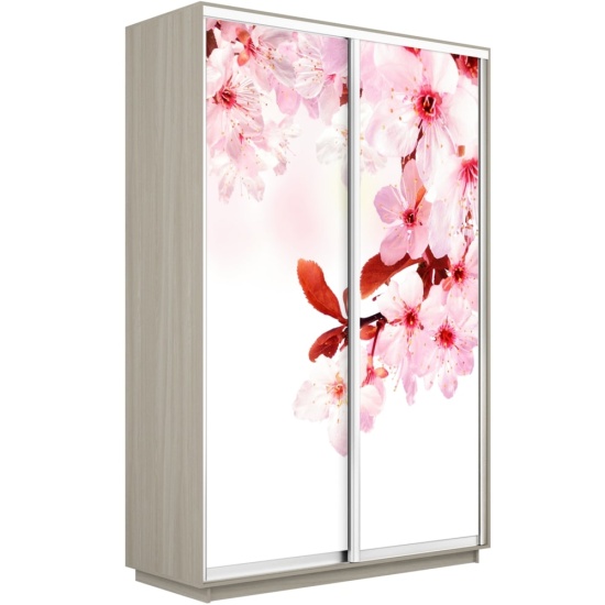 Шкаф-купе Экспресс с Фотопечатью 1400 х 2200 х 600 Сакура