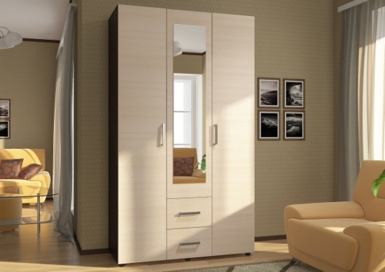 Шкаф ЭВА ШК-019