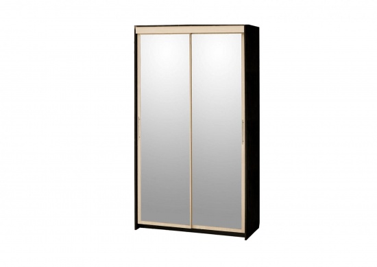 Шкаф-купе 2-дв с 2 зеркалами