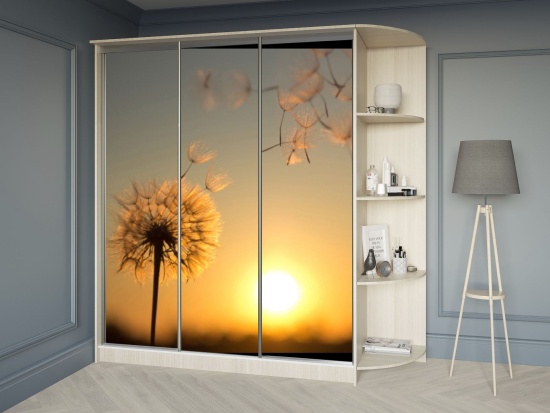 Шкаф-купе 1,8м фотопечать