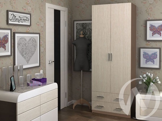 Шкаф Дуэт 2-х створчатый