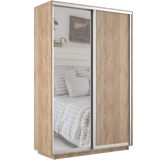 Шкаф-купе Экспресс ДСП/Зерк. 1600 х 2200 х 600