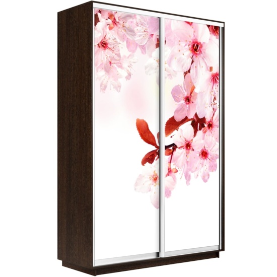 Шкаф-купе Экспресс с Фотопечатью 1400 х 2200 х 600 Сакура