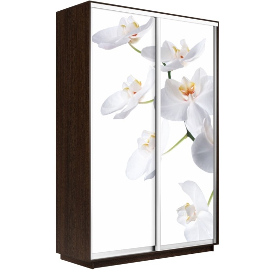 Шкаф-купе Экспресс 1200 х 2400 х 600 Орхидея Белая