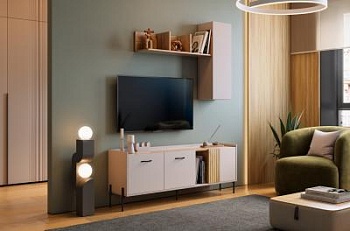 Гостиная "Доминика К1"