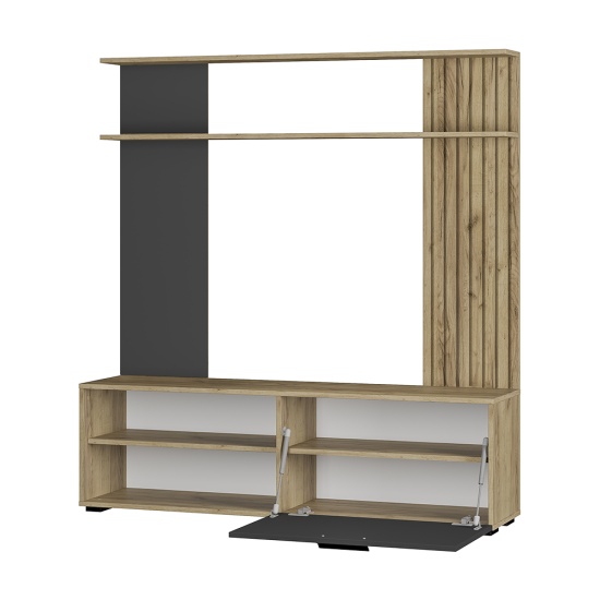 Центральная секция ГС-05 тип 1 Гостиная Мишель