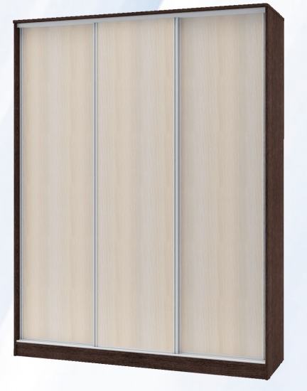 Шкаф-купе «Техно» 3х дв 1800х600 ДДД