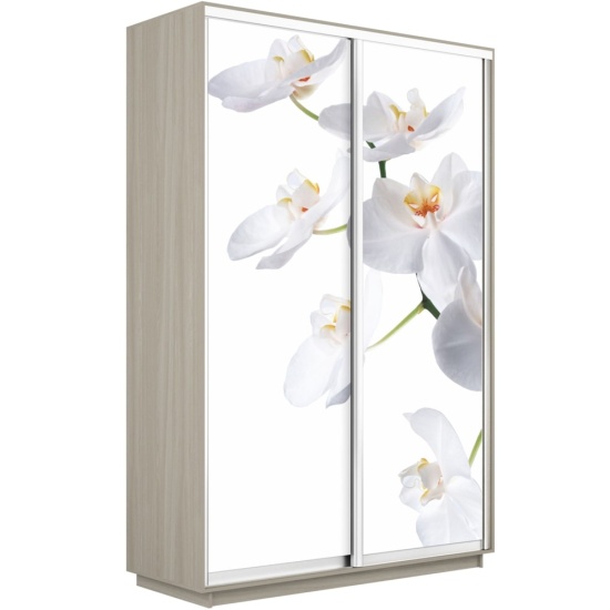 Шкаф-купе Экспресс 1200 х 2400 х 600 Орхидея Белая