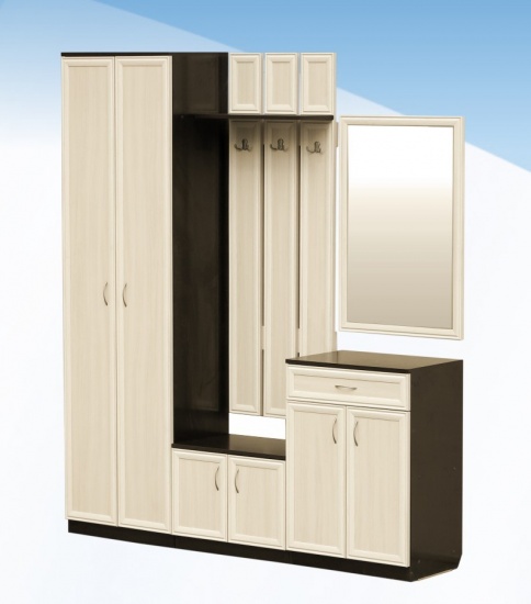 Прихожая ПР3