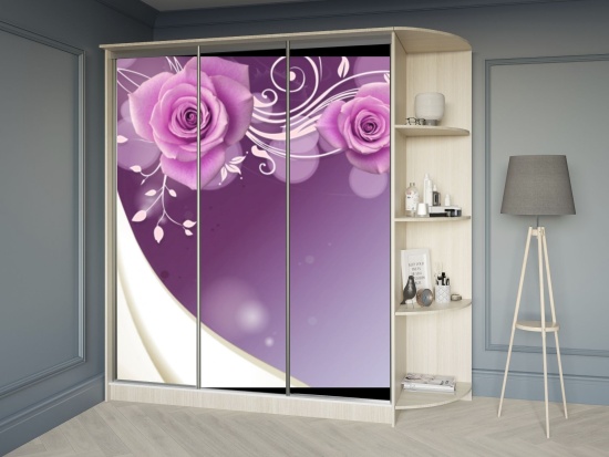 Шкаф-купе 1,8м фотопечать