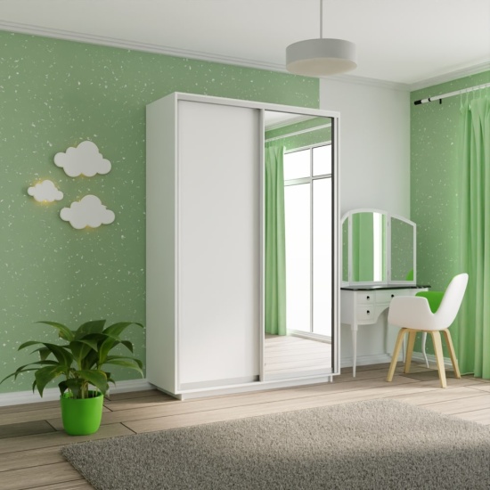 Шкаф-купе Экспресс ДСП/Зерк. 1200 х 2200 х 600