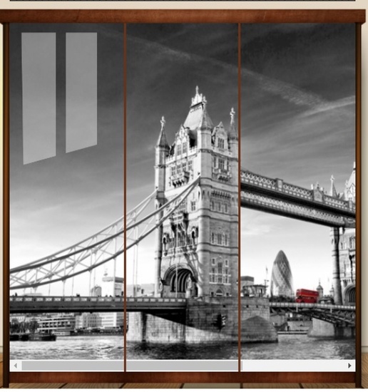 Шкаф-купе 1,8м фотопечать