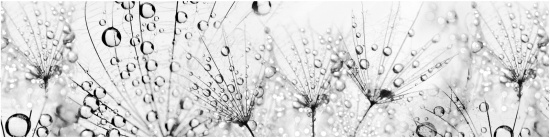 Фартук KMG 44 - Капли Одуванчики Абстракция