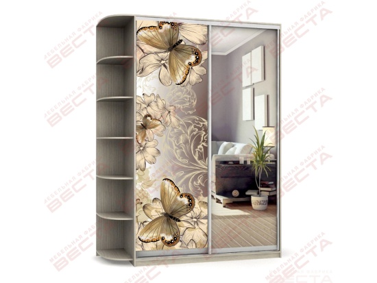 Шкаф-купе 1,1м фотопечать/зеркало+терминал